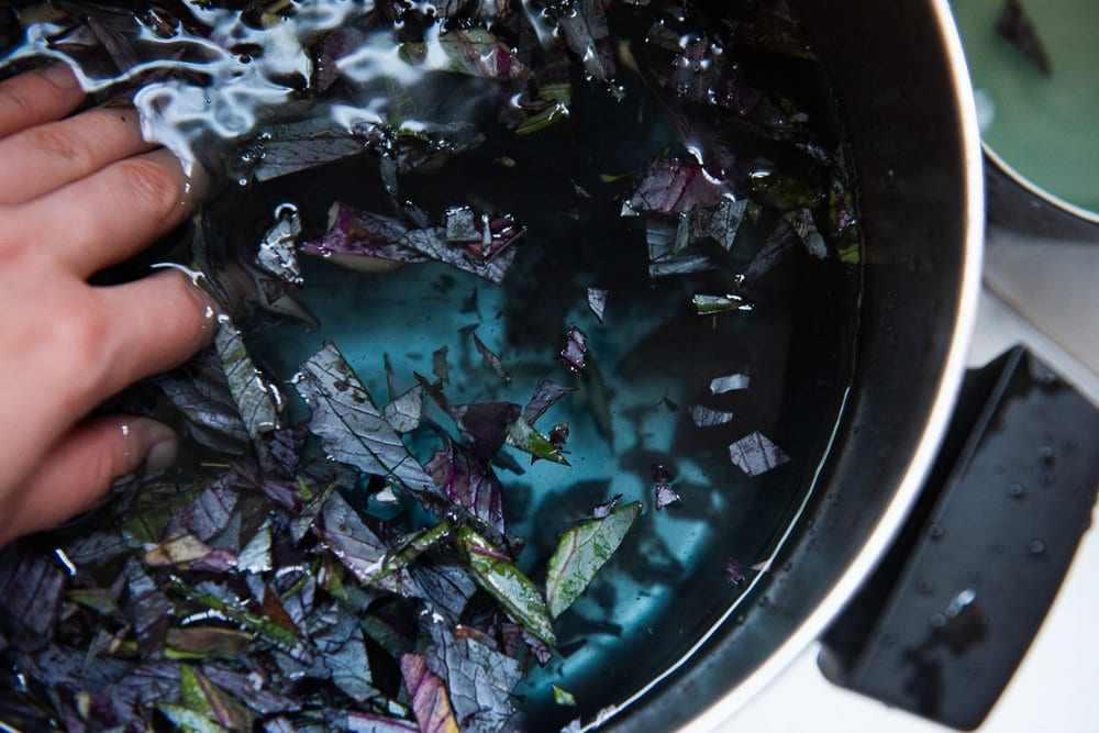 15 Reasons Your Natural Dye Project FAILED (And Why You Should Do It Anyway)